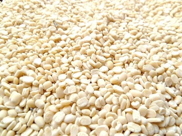 Urad Dal - J Gold